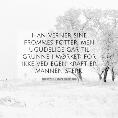 Picture 07 - 1 Samuel 2:9 NORSK - Han verner sine frommes føtter, men ugudelige - Bible Verse Picture