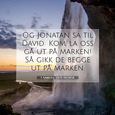 Picture 07 - 1 Samuel 20:11 NORSK - Og Jonatan sa til David: Kom, la oss gå ut på - Bible Verse Picture
