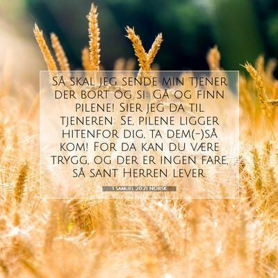 Picture 07 - 1 Samuel 20:21 NORSK - Så skal jeg sende min tjener der bort og si: Gå - Bible Verse Picture