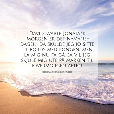 Picture 07 - 1 Samuel 20:5 NORSK - David svarte Jonatan: Imorgen er det - Bible Verse Picture