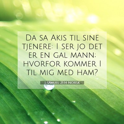 Picture 07 - 1 Samuel 21:14 NORSK - Da sa Akis til sine tjenere: I ser jo det er en - Bible Verse Picture
