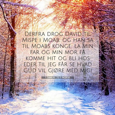 Picture 07 - 1 Samuel 22:3 NORSK - Derfra drog David til Mispe i Moab; og han sa til - Bible Verse Picture
