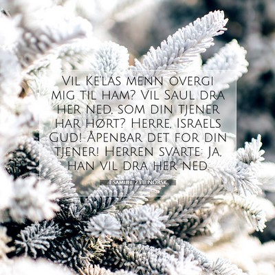 Picture 07 - 1 Samuel 23:11 NORSK - Vil Ke'las menn overgi mig til ham? Vil Saul dra - Bible Verse Picture