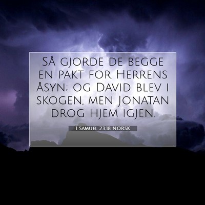 Picture 07 - 1 Samuel 23:18 NORSK - Så gjorde de begge en pakt for Herrens åsyn; og - Bible Verse Picture