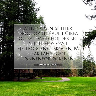 Picture 07 - 1 Samuel 23:19 NORSK - Men nogen sifitter drog op til Saul i Gibea og - Bible Verse Picture