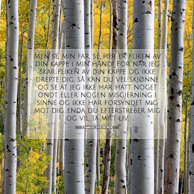 Picture 07 - 1 Samuel 24:11 NORSK - Men se, min far, se, her er fliken av din kappe i - Bible Verse Picture