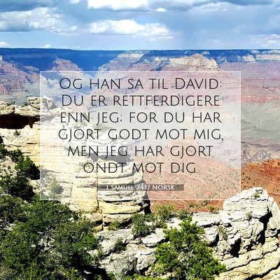 Picture 07 - 1 Samuel 24:17 NORSK - Og han sa til David: Du er rettferdigere enn jeg; - Bible Verse Picture