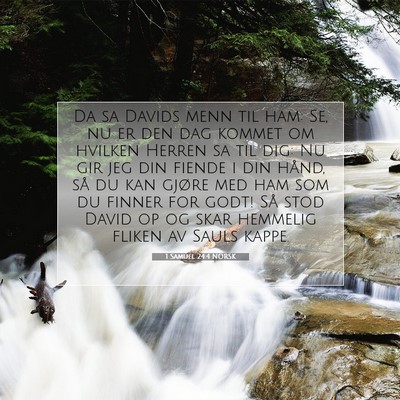 Picture 07 - 1 Samuel 24:4 NORSK - Da sa Davids menn til ham: Se, nu er den dag - Bible Verse Picture