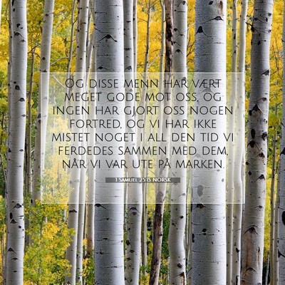 Picture 07 - 1 Samuel 25:15 NORSK - Og disse menn har vært meget gode mot oss, og - Bible Verse Picture