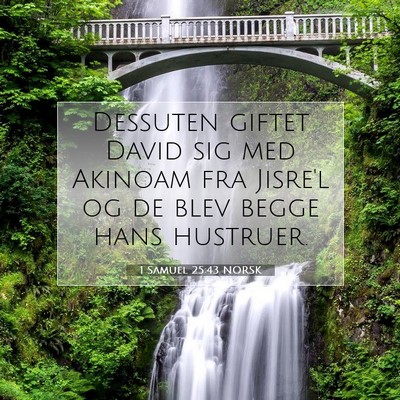 Picture 07 - 1 Samuel 25:43 NORSK - Dessuten giftet David sig med Akinoam fra Jisre'l - Bible Verse Picture