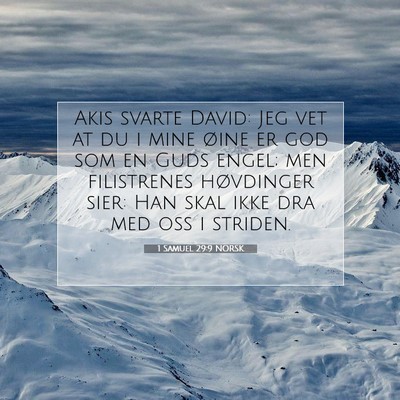 Picture 07 - 1 Samuel 29:9 NORSK - Akis svarte David: Jeg vet at du i mine øine er - Bible Verse Picture
