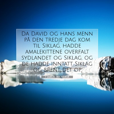 Picture 07 - 1 Samuel 30:1 NORSK - Da David og hans menn på den tredje dag kom til - Bible Verse Picture