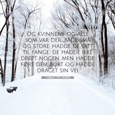 Picture 07 - 1 Samuel 30:2 NORSK - Og kvinnene og alle som var der, både små og - Bible Verse Picture