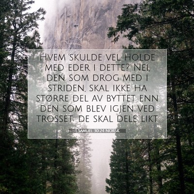 Picture 07 - 1 Samuel 30:24 NORSK - Hvem skulde vel holde med eder i dette? Nei, den - Bible Verse Picture
