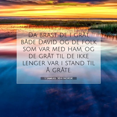 Picture 07 - 1 Samuel 30:4 NORSK - Da brast de i gråt, både David og de folk som - Bible Verse Picture