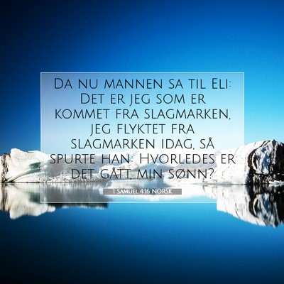 Picture 07 - 1 Samuel 4:16 NORSK - Da nu mannen sa til Eli: Det er jeg som er kommet - Bible Verse Picture