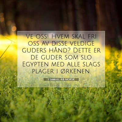 Picture 07 - 1 Samuel 4:8 NORSK - Ve oss! Hvem skal fri oss av disse veldige guders - Bible Verse Picture