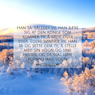 Picture 07 - 1 Samuel 8:11 NORSK - Han sa: Således vil han bære sig at den konge - Bible Verse Picture