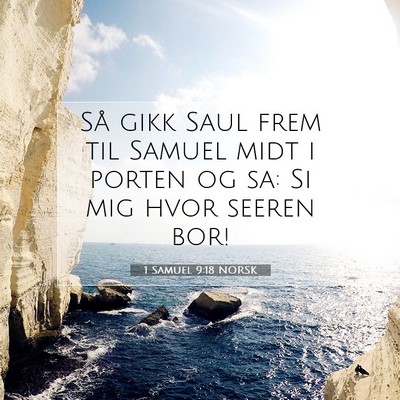 Picture 07 - 1 Samuel 9:18 NORSK - Så gikk Saul frem til Samuel midt i porten og - Bible Verse Picture