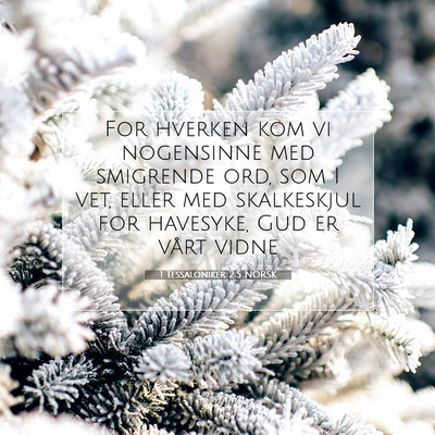 Picture 07 - 1 Tessaloniker 2:5 NORSK - For hverken kom vi nogensinne med smigrende ord, - Bible Verse Picture