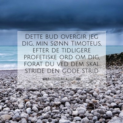 Picture 07 - 1 Timoteus 1:18 NORSK - Dette bud overgir jeg dig, min sønn Timoteus, - Bible Verse Picture