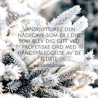Picture 07 - 1 Timoteus 4:14 NORSK - Vanskjøtt ikke den nådegave som er i dig, som - Bible Verse Picture