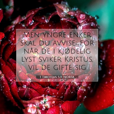 Picture 07 - 1 Timoteus 5:11 NORSK - Men yngre enker skal du avvise; for når de i - Bible Verse Picture