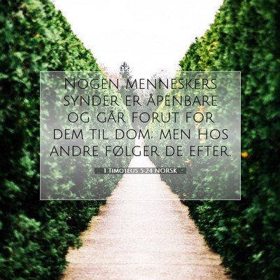 Picture 07 - 1 Timoteus 5:24 NORSK - Nogen menneskers synder er åpenbare og går - Bible Verse Picture