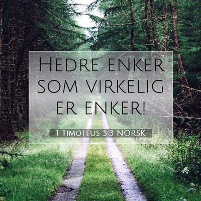 Picture 07 - 1 Timoteus 5:3 NORSK - Hedre enker som virkelig er - Bible Verse Picture