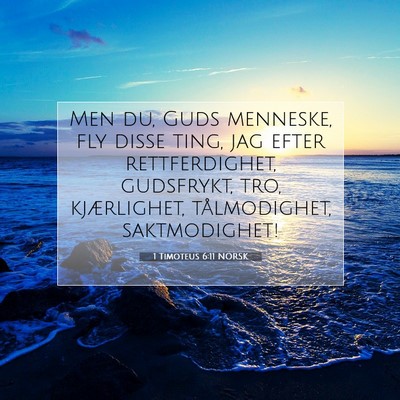 Picture 07 - 1 Timoteus 6:11 NORSK - Men du, Guds menneske, fly disse ting, jag efter - Bible Verse Picture