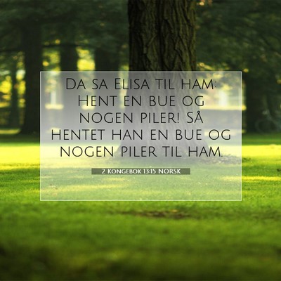Picture 07 - 2 Kongebok 13:15 NORSK - Da sa Elisa til ham: Hent en bue og nogen piler! - Bible Verse Picture