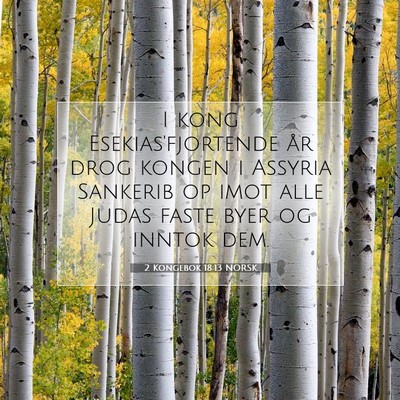 Picture 07 - 2 Kongebok 18:13 NORSK - I kong Esekias'fjortende år drog kongen i - Bible Verse Picture