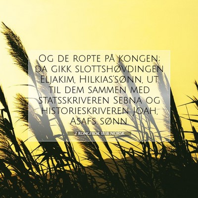 Picture 07 - 2 Kongebok 18:18 NORSK - Og de ropte på kongen; da gikk slottshøvdingen - Bible Verse Picture