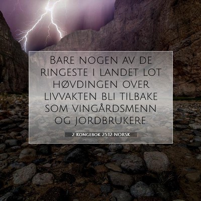 Picture 07 - 2 Kongebok 25:12 NORSK - Bare nogen av de ringeste i landet lot høvdingen - Bible Verse Picture