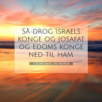 Picture 07 - 2 Kongebok 3:12 NORSK - Så drog Israels konge og Josafat og Edoms konge - Bible Verse Picture