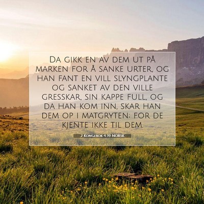 Picture 07 - 2 Kongebok 4:39 NORSK - Da gikk en av dem ut på marken for å sanke - Bible Verse Picture