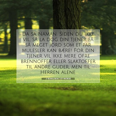 Picture 07 - 2 Kongebok 5:17 NORSK - Da sa Na'man: Siden du ikke vil, så la dog din - Bible Verse Picture