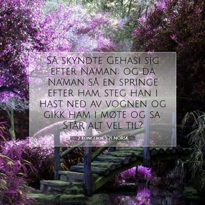 Picture 07 - 2 Kongebok 5:21 NORSK - Så skyndte Gehasi sig efter Na'man; og da Na'man - Bible Verse Picture