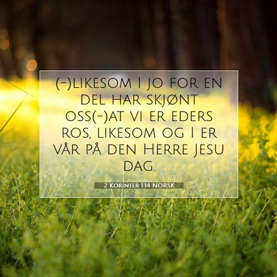 Picture 07 - 2 Korinter 1:14 NORSK - (-)likesom I jo for en del har skjønt oss(-)at - Bible Verse Picture