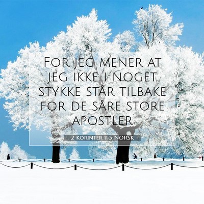 Picture 07 - 2 Korinter 11:5 NORSK - For jeg mener at jeg ikke i noget stykke står - Bible Verse Picture