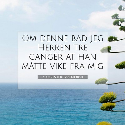 Picture 07 - 2 Korinter 12:8 NORSK - Om denne bad jeg Herren tre ganger at han måtte - Bible Verse Picture