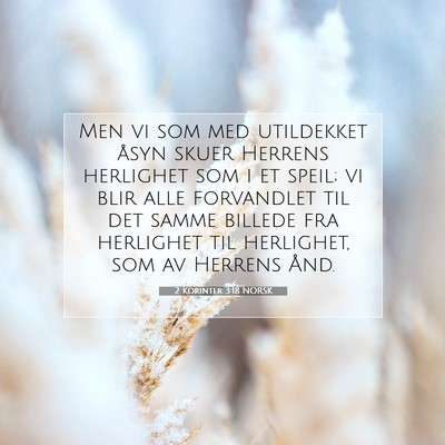 Picture 07 - 2 Korinter 3:18 NORSK - Men vi som med utildekket åsyn skuer Herrens - Bible Verse Picture