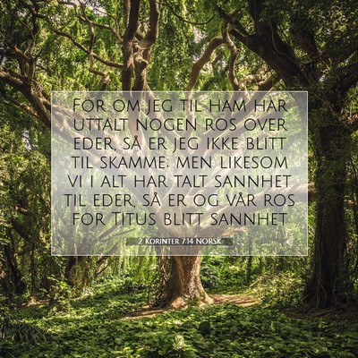 Picture 07 - 2 Korinter 7:14 NORSK - For om jeg til ham har uttalt nogen ros over - Bible Verse Picture