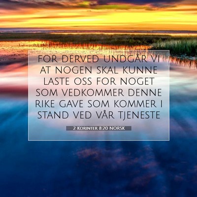 Picture 07 - 2 Korinter 8:20 NORSK - for derved undgår vi at nogen skal kunne laste - Bible Verse Picture