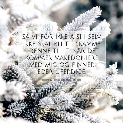 Picture 07 - 2 Korinter 9:4 NORSK - så vi, for ikke å si I selv, ikke skal bli til - Bible Verse Picture