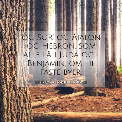 Picture 07 - 2 Krønikebok 11:10 NORSK - og Sor' og Ajalon og Hebron, som alle lå i Juda - Bible Verse Picture