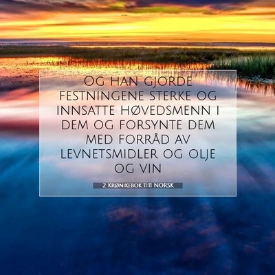 Picture 07 - 2 Krønikebok 11:11 NORSK - Og han gjorde festningene sterke og innsatte - Bible Verse Picture