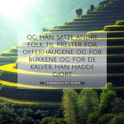 Picture 07 - 2 Krønikebok 11:15 NORSK - og han satte andre folk til prester for - Bible Verse Picture