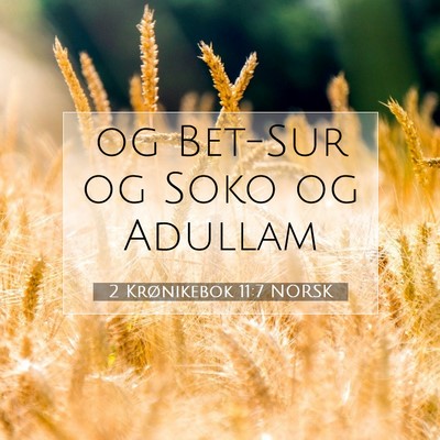 Picture 07 - 2 Krønikebok 11:7 NORSK - og Bet-Sur og Soko og - Bible Verse Picture