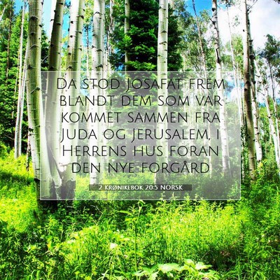 Picture 07 - 2 Krønikebok 20:5 NORSK - Da stod Josafat frem blandt dem som var kommet - Bible Verse Picture